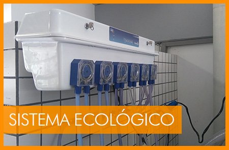 Sistema Ecológico